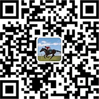 金湖凱銘儀表有限公司