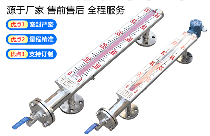 四氟磁翻板液位計